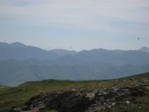 IMG_0245.JPG