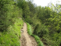 IMG_0271.JPG
