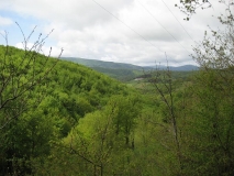 IMG_0272.JPG
