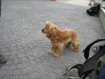 IMG_0275.JPG