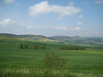 IMG_0311.JPG