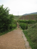 IMG_0337.JPG