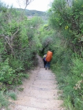 IMG_0349.JPG