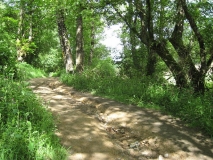 IMG_0584.JPG