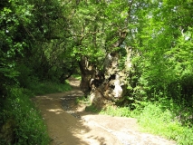 IMG_0585.JPG