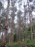 IMG_0670.JPG