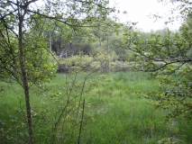 IMG_0671.JPG