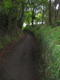 IMG_0673.JPG