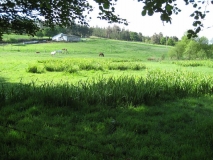 IMG_0676.JPG