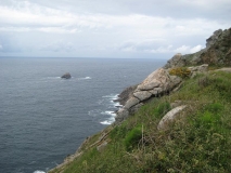 IMG_0768.JPG