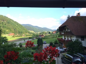 Blick vom Rotbauernhof Richtung Gutach