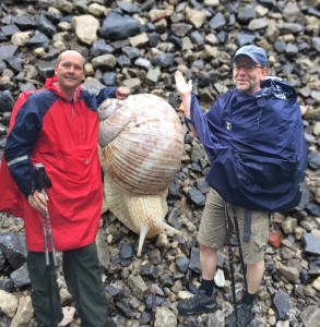 So was gibt's... oder nicht?